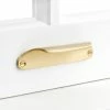 Signature Hardware Brass Window Sash Lift in Satin Brass