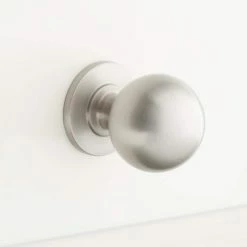 Signature Hardware Rodino 1-1/4 in. Brass Round Cabinet Knob in Satin Brass