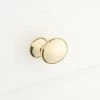 Signature Hardware Rennes 1-7/8 in. Brass Oval Knob in Polished Brass