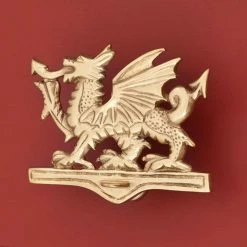 Signature Hardware Welsh Dragon 4-3/4 in. Brass Door Knocker in Polished Brass