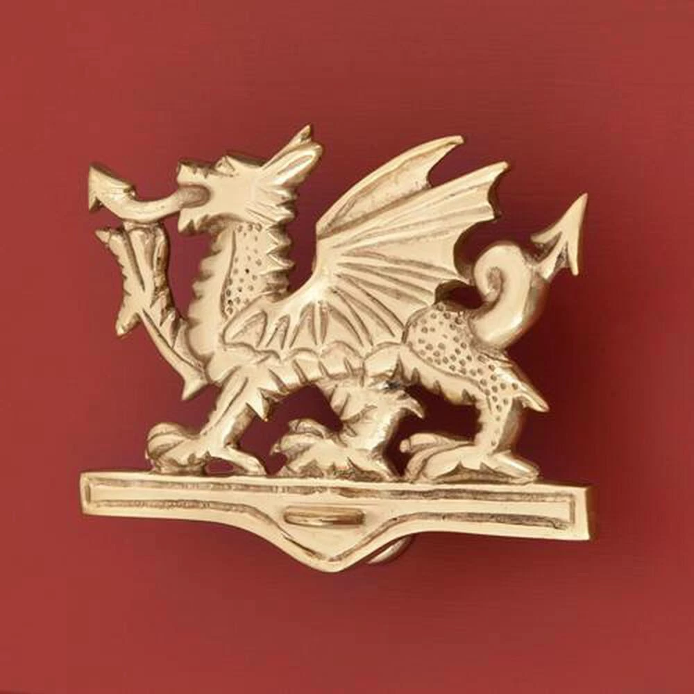 Signature Hardware Welsh Dragon 4-3/4 in. Brass Door Knocker in Polished Brass