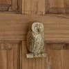 Signature Hardware Owl 3-1/8 in. Brass Door Knocker in Polished Brass