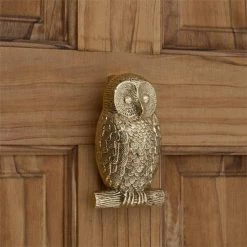Signature Hardware Owl 3-1/8 in. Brass Door Knocker in Polished Brass