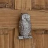 Signature Hardware Owl 3-1/8 in. Brass Door Knocker in Brushed Nickel