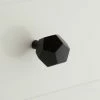 Signature Hardware Quintus Brass Pentagon Knob in Matte Black