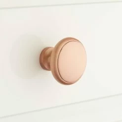Signature Hardware Nantes 1-1/4 in. Brass Round Cabinet Knob in Satin Brass