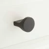 Signature Hardware Pleso 1-1/4 in. Brass Round Cabinet Knob in Black