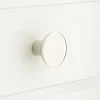 Signature Hardware Gordes 1-1/4 in. Brass Round Cabinet Knob in Polished Brass