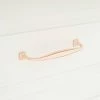 Signature Hardware Dowling 6-1/4 in. Brass Cabinet Pull in Satin Brass