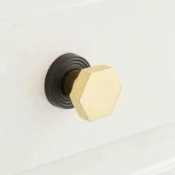 Signature Hardware Khoit 1-1/4 in. Brass Hexagonal Cabinet Knob with Base in Black/Polished Brass
