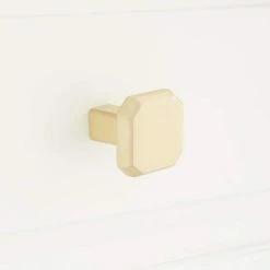 Signature Hardware Dowling 1-3/8 in. Brass Cabinet Knob in Satin Brass