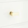 Signature Hardware Honfleur 1-1/2 in. Brass T-shaped Cabinet Knob in Polished Brass