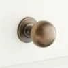 Signature Hardware Rodino 1 in. Brass Round Cabinet Knob in Brushed Nickel