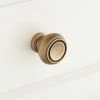 Signature Hardware Cipullo 1 in. Brass Round Cabinet Knob in Satin Brass