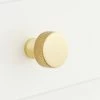 Signature Hardware Arles 1-1/4 in. Brass Round Cabinet Knob in Polished Brass